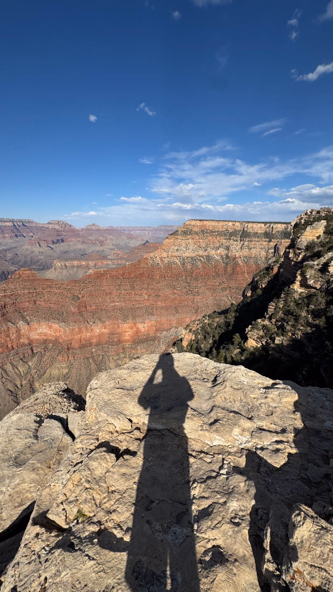 A hiker’s shadow across rocks overlooking a layered desert canyon